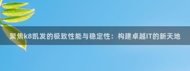 彩虹多多体育凯捷平台主管：聚焦k8凯发的极致性能与稳定性：构建卓越IT的新天地