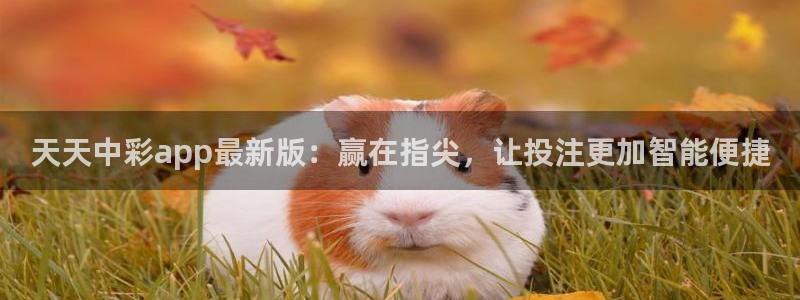 彩虹多多2登录入口：天天中彩app最新版：赢在指尖，让投注更加智能便捷